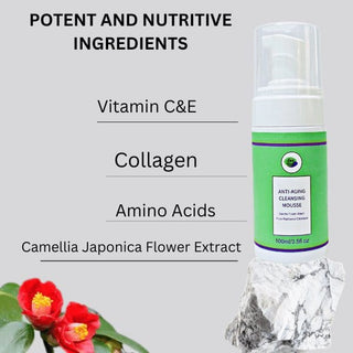 Khichi Beauty Anti - aging Cleansing Mousse, Gentle Foam Wash, Pure Radiance Cleanser 3.5 oz (100ml). - Khichi Beauty Skincare by WWW.ALESMAXII.COM