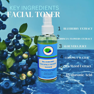 Khichi Beauty Blueberry Coconut Water Facial Toner, Soothes and hydrates - Khichi Beauty Skincare by WWW.ALESMAXII.COM