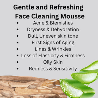 Khichi Beauty Luxurious Clarifying Facial Cleansing Mousse 100 ml / 3.5 oz - Khichi Beauty Skincare by WWW.ALESMAXII.COM